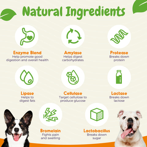 Probiotics For Dogs Soft Chews - 60 Count
