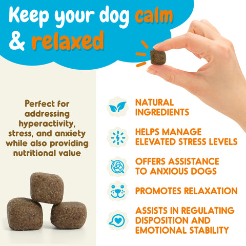 Probiotic for Dogs 60 Soft Chews