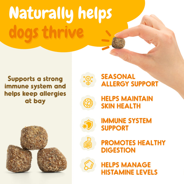 Allergy Relief Support Chews - 120 Count