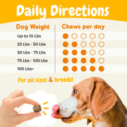 Allergy Relief Support Chews - 120 Count