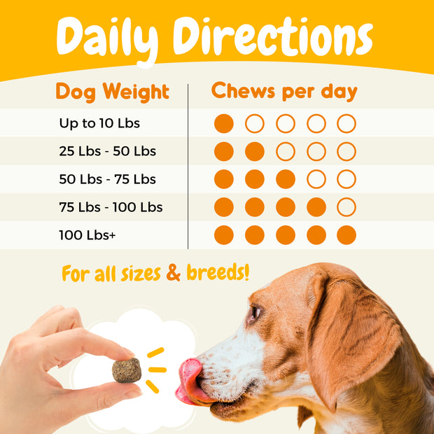 Allergy Relief Support Chews - 120 Count
