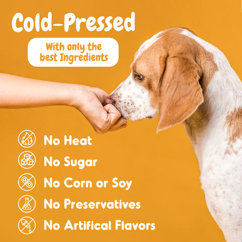 Allergy Chews – Itch Relief & Immune Support for Dogs, 60 Count
