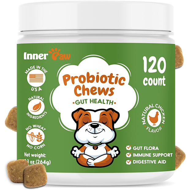 Dog Probiotic Chews - 120 Count