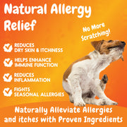 Allergy Relief Support Chews - 120 Soft Chews
