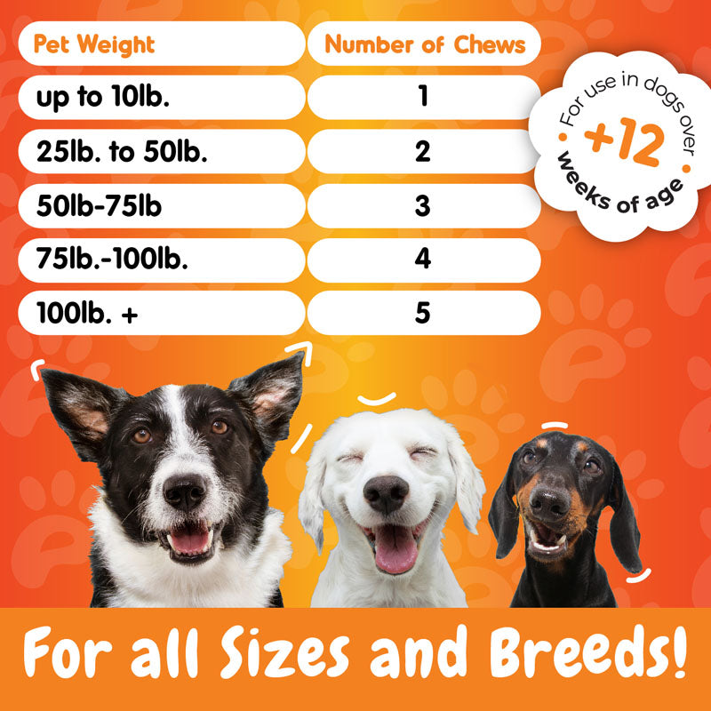 Allergy Relief Support Chews - 120 Soft Chews