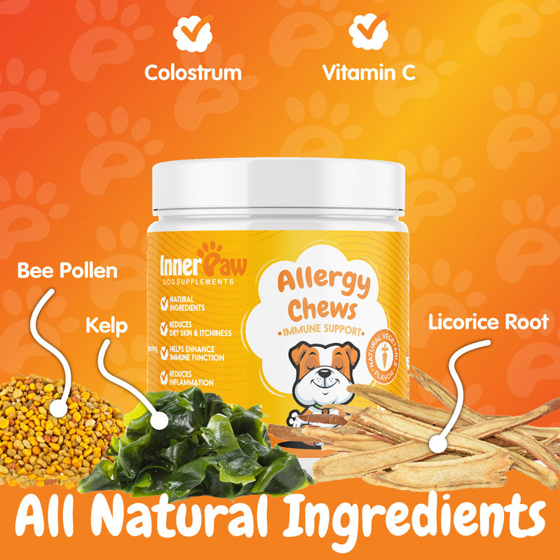 Allergy Relief Support Chews - 120 Soft Chews