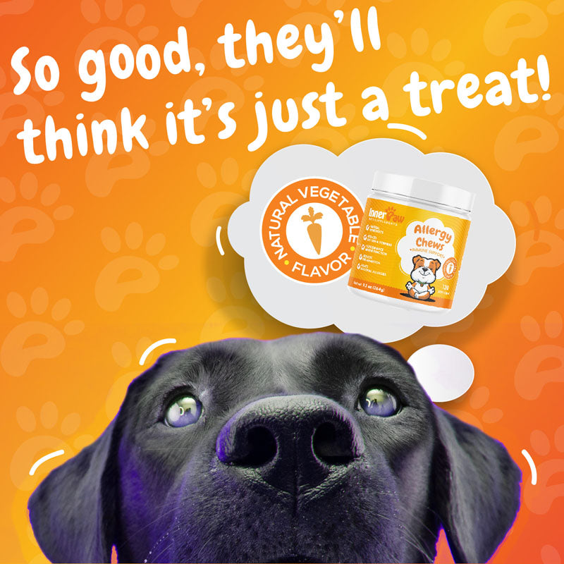Allergy Relief Support Chews - 120 Soft Chews
