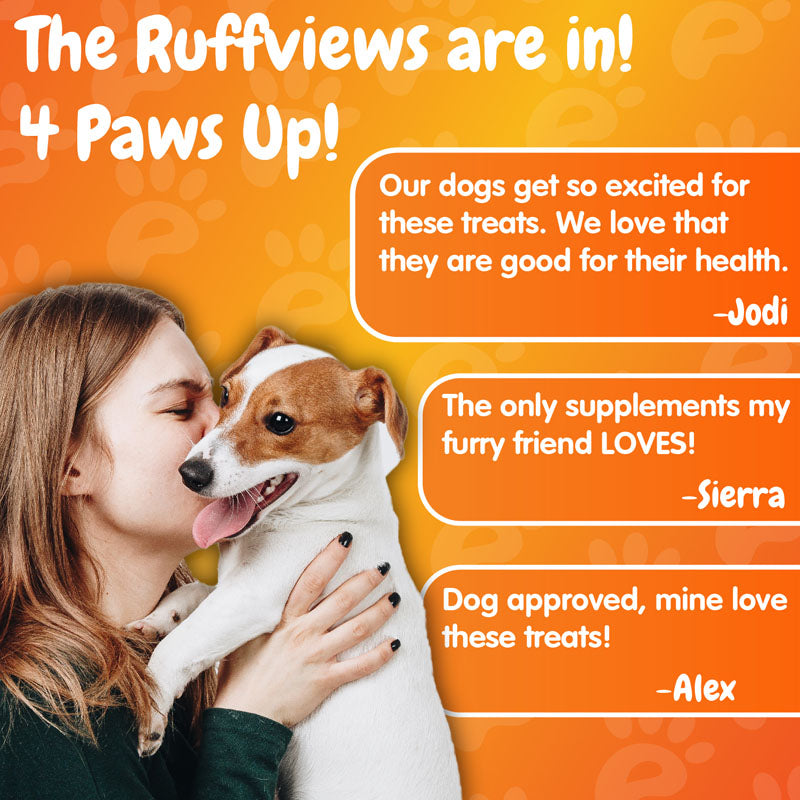 Allergy Relief Support Chews - 120 Soft Chews