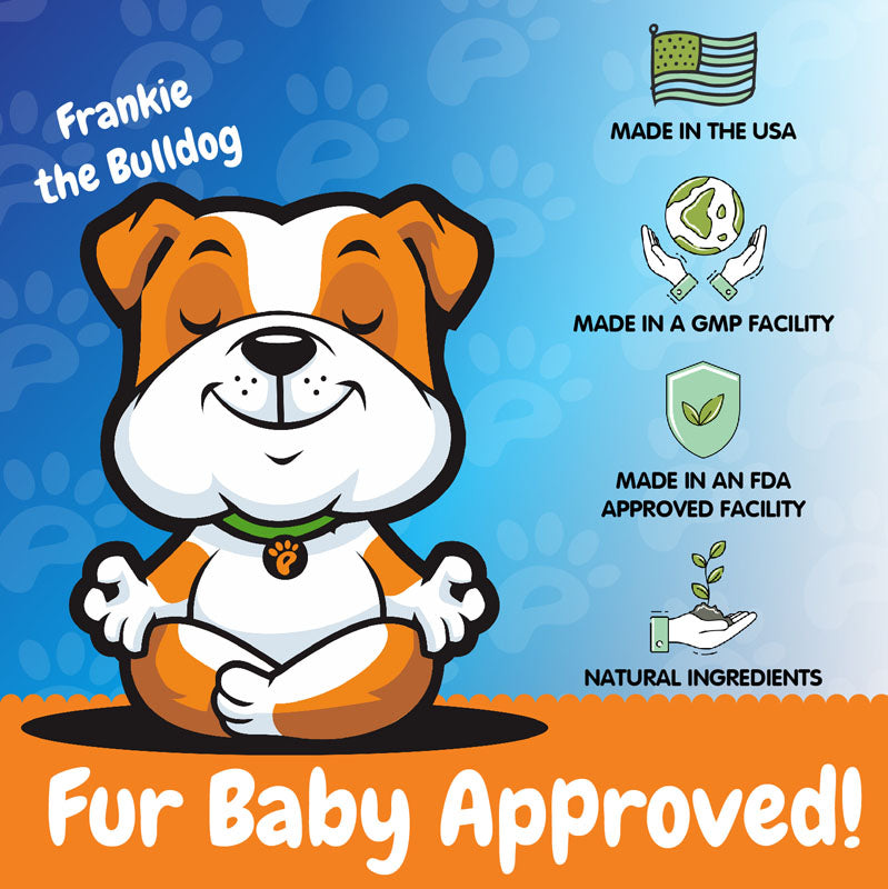 Advanced Turmeric Hip and Joint Complex Supplement for Dogs