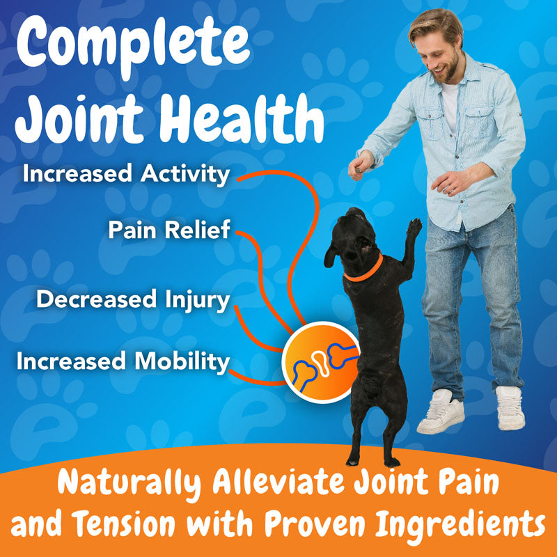 Advanced Turmeric Hip and Joint Complex Supplement for Dogs