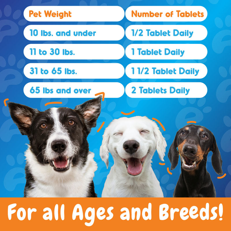 Advanced Turmeric Hip and Joint Complex Supplement for Dogs