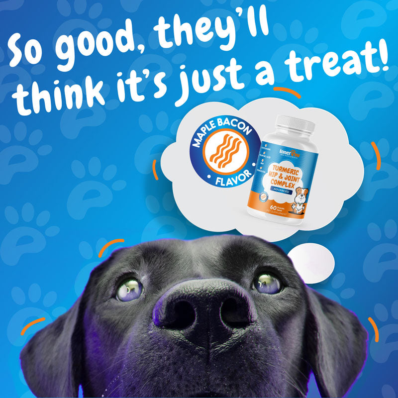 Advanced Turmeric Hip and Joint Complex Supplement for Dogs