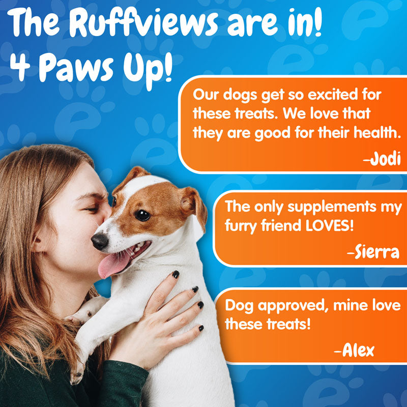 Advanced Turmeric Hip and Joint Complex Supplement for Dogs